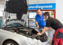 Motormanagement / Systemdiagnose